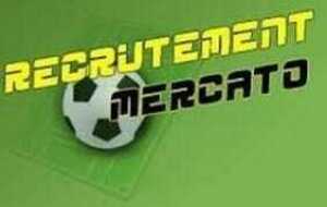 Mercato Recrutement