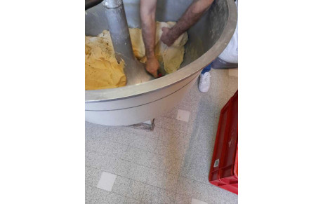 Préparation oreillettes 